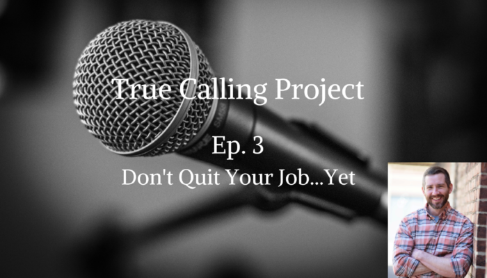 Ep. 3 – Don’t Quit Your Job… Yet