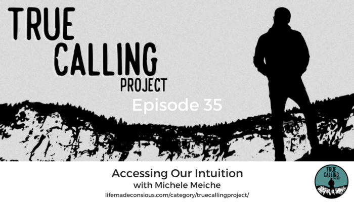 True Calling Project 35 – Michele Meiche: Accessing Our Intuition